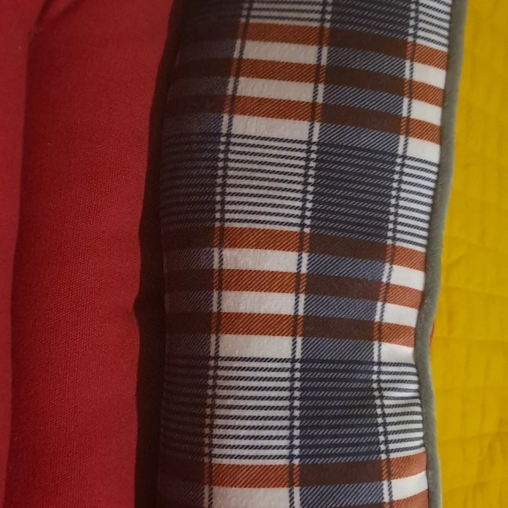 Red,white and blue plaid dog be